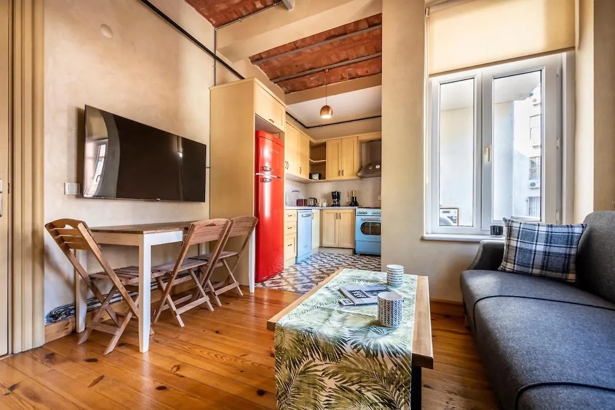 Classic Historical Galata Apartment Istanbulská provincie