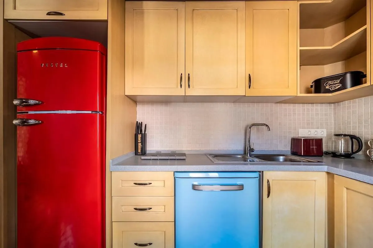 Classic Historical Galata Apartment Istanbul Turkiet