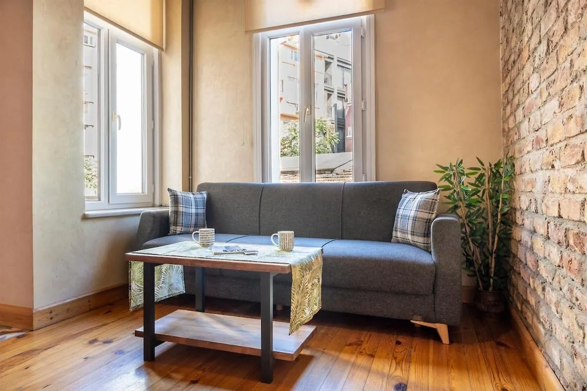 Classic Historical Galata Apartment Istanbul